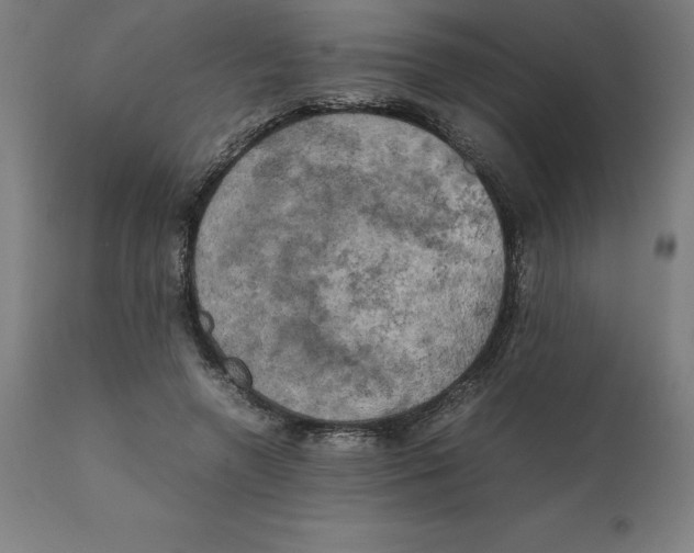 X0000111150546200907211205