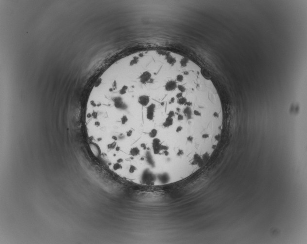 X0000111150548200907211205