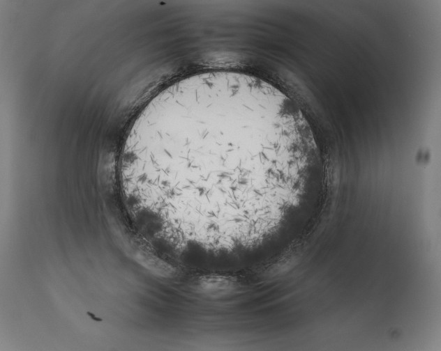 X0000111150549200907211205