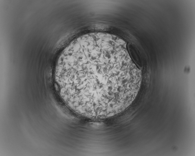 X0000111150552200907211205