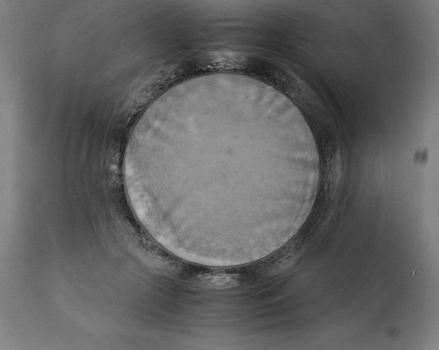 X0000111150553200907211206