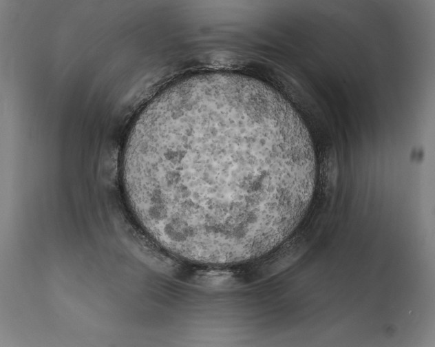 X0000111150554200907211206