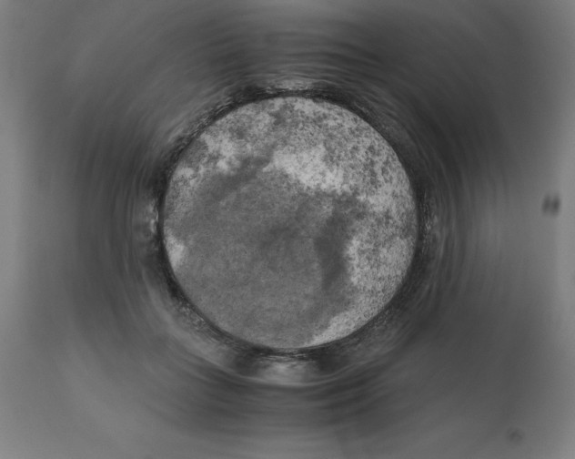 X0000111150555200907211206