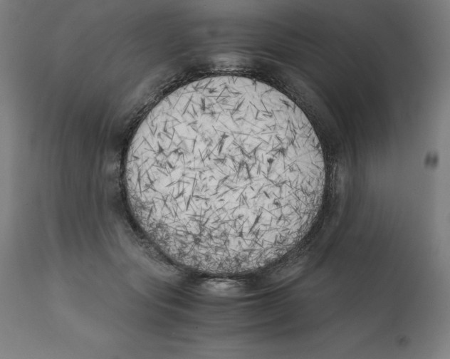 X0000111150557200907211206