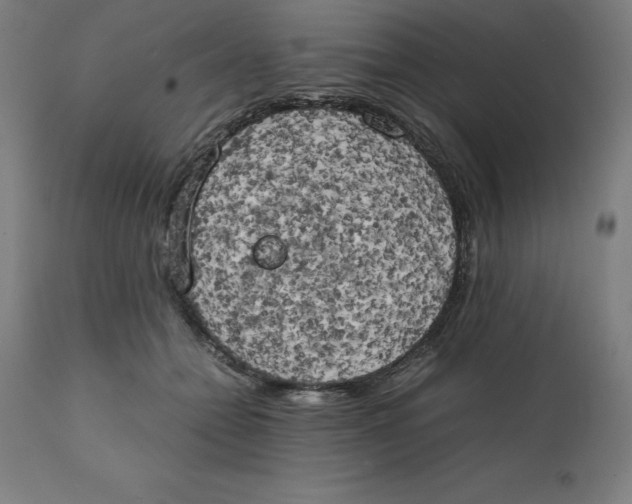 X0000111150558200907211206