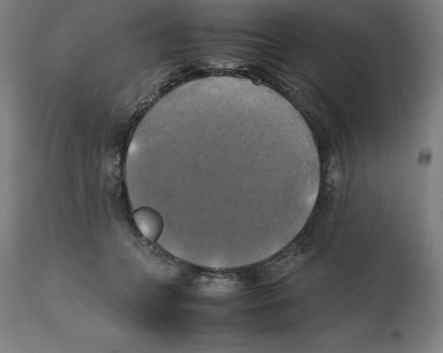 X0000111150559200907211206