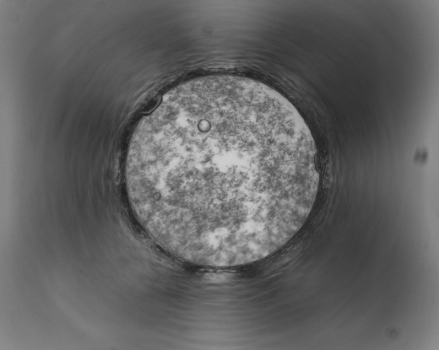 X0000111150560200907211206