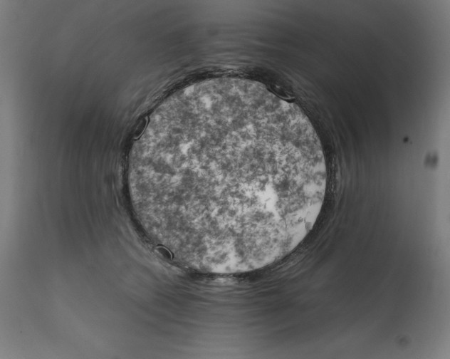 X0000111150562200907211206