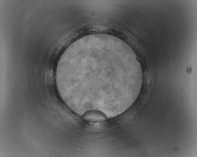 X0000111150564200907211206