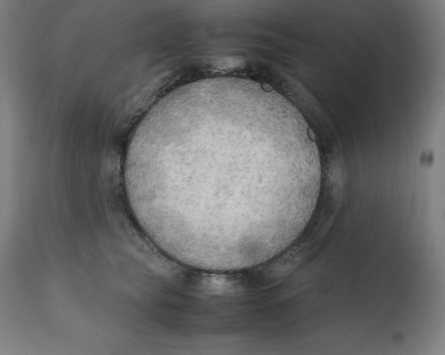 X0000111150565200907211206