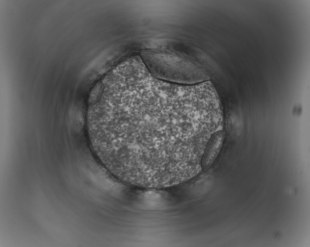 X0000111150566200907211206