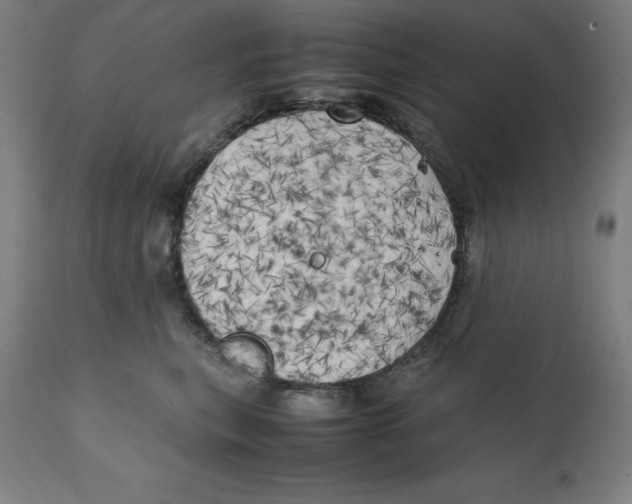 X0000111150567200907211206