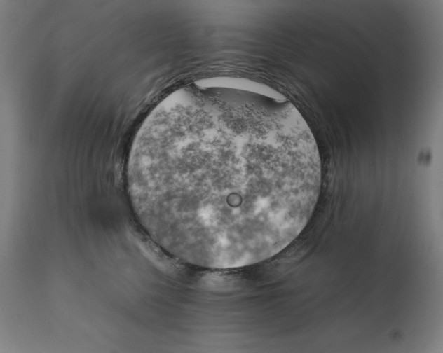 X0000111150568200907211206