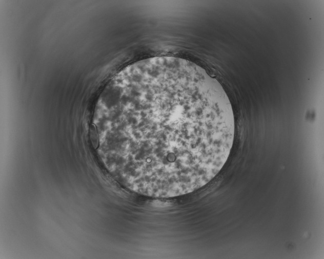 X0000111150570200907211206