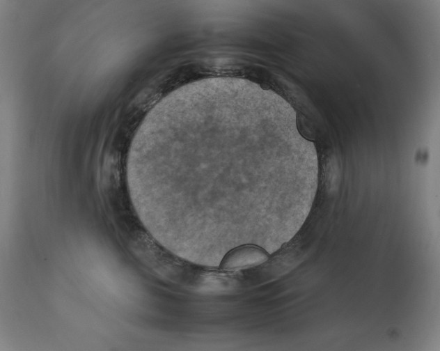 X0000111150571200907211206