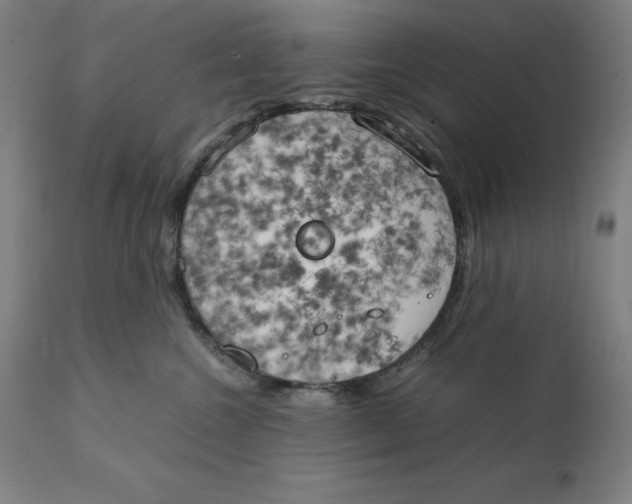 X0000111150572200907211206