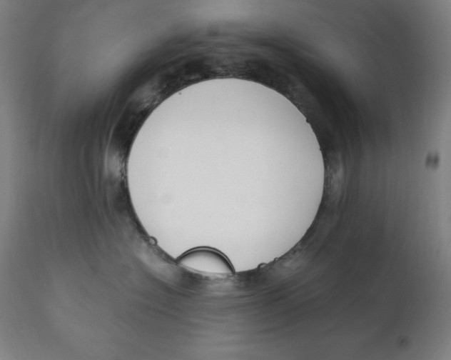 X0000111150574200907211206