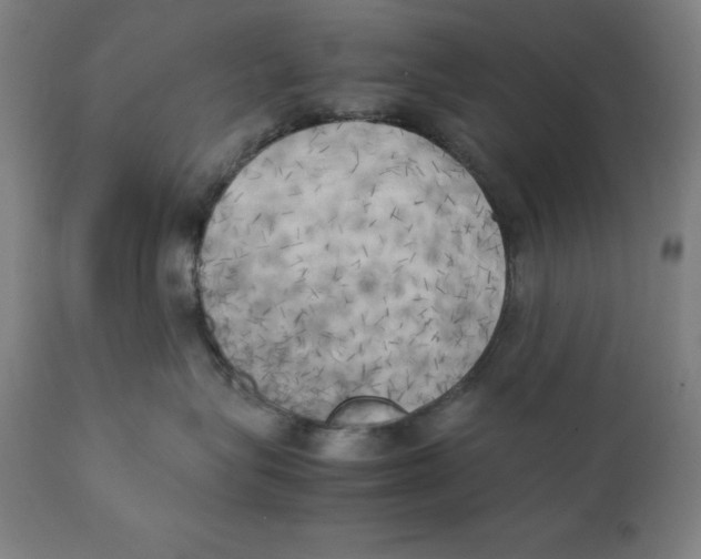 X0000111150575200907211206