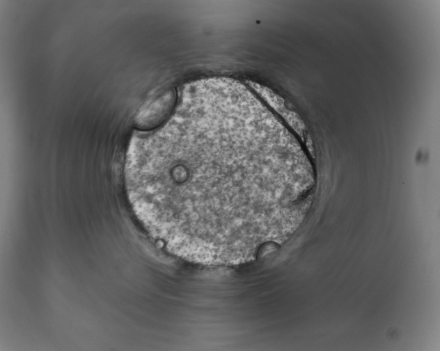 X0000111150576200907211206