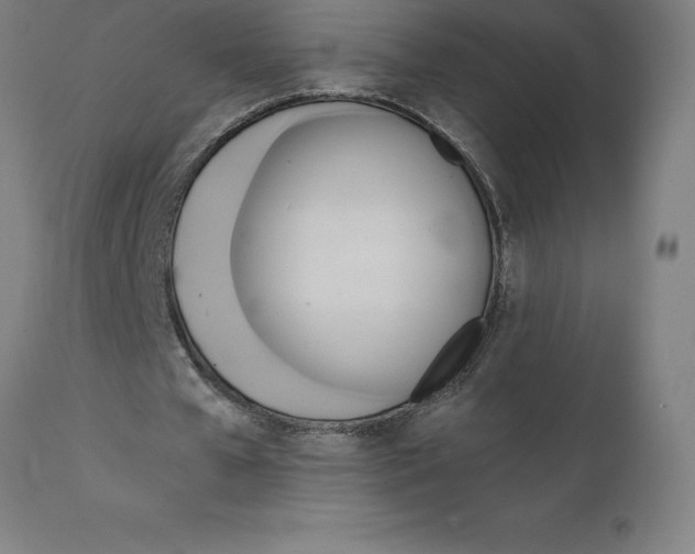 X0000111150577200907211205