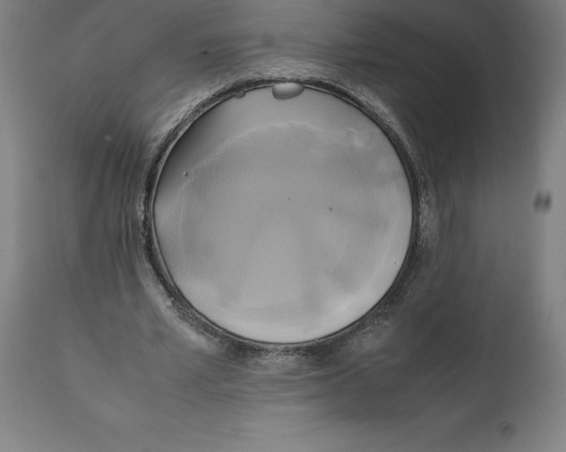 X0000111150581200907211205