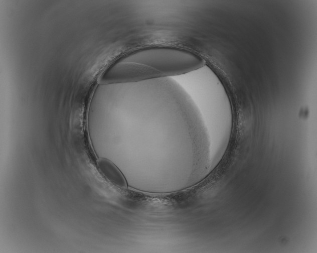 X0000111150585200907211205