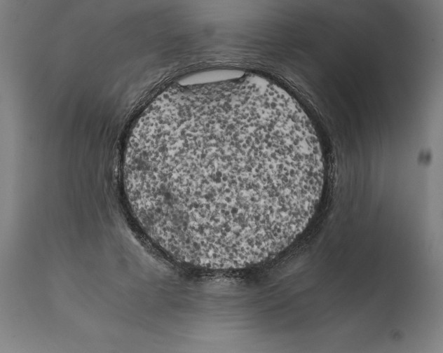 X0000111150593200907211205