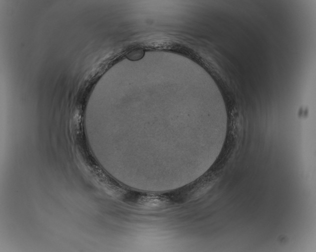 X0000111150597200907211205