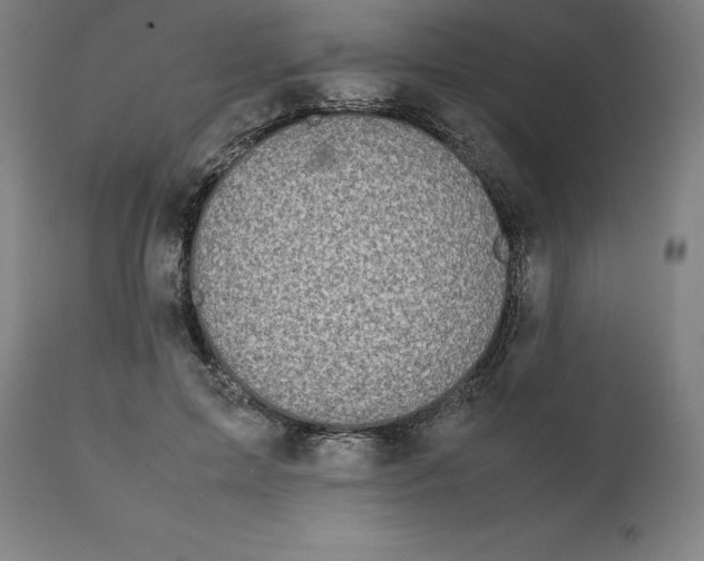 X0000111150599200907211205