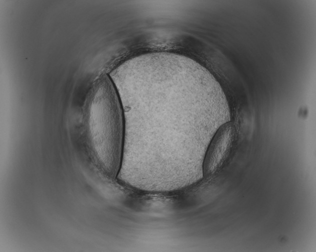 X0000111150601200907211205