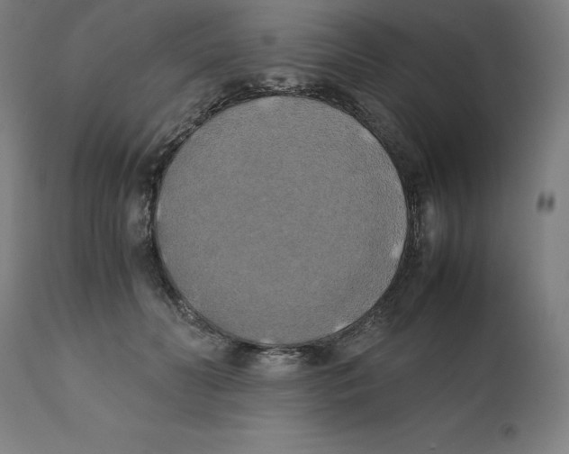 X0000111150606200907211205