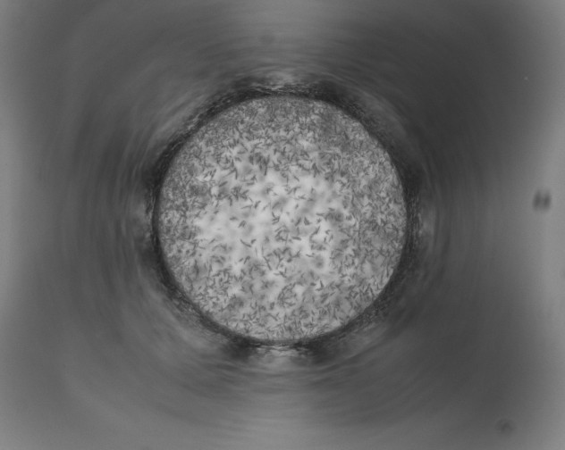 X0000111150607200907211205