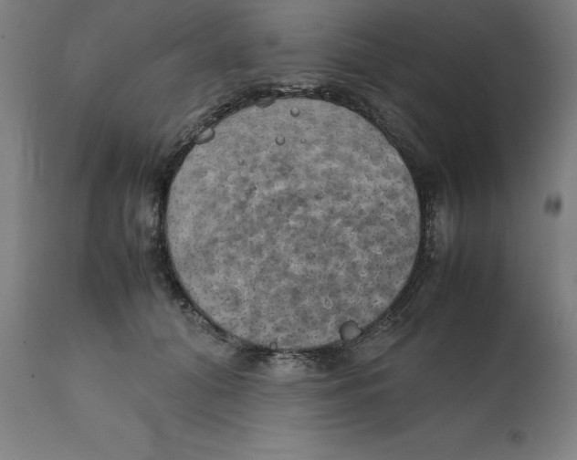 X0000111150608200907211205