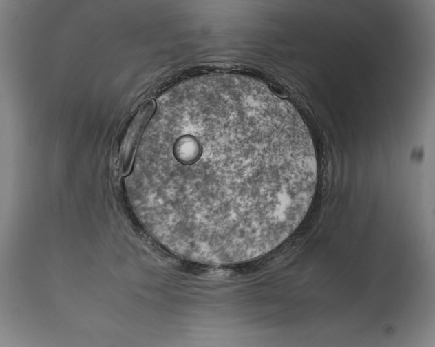 X0000111150609200907211205