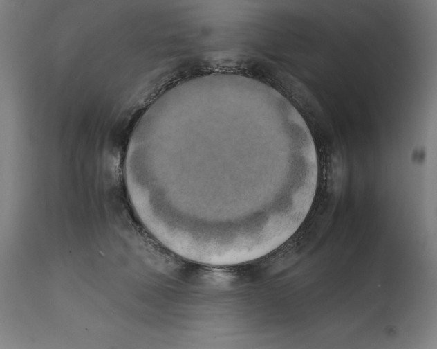 X0000111150610200907211205