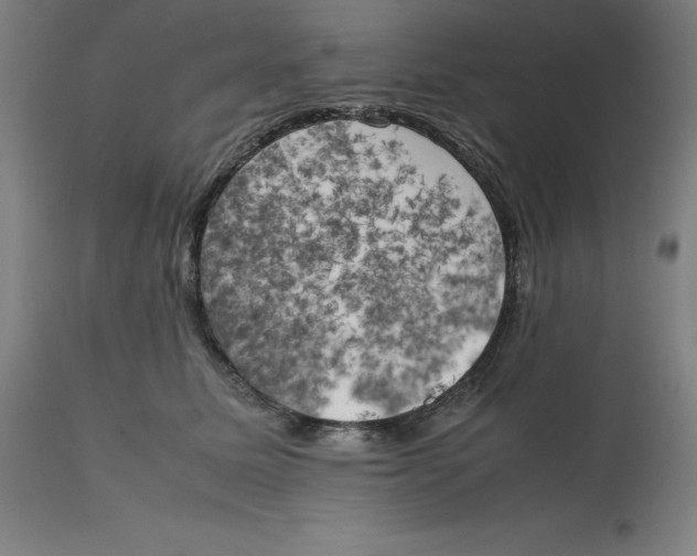 X0000111150611200907211205