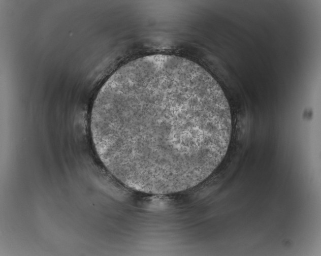 X0000111150612200907211205