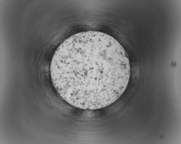 X0000111150613200907211205