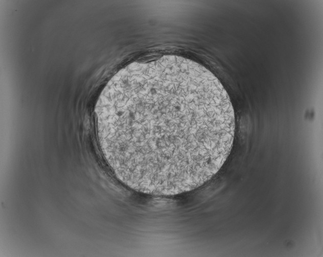 X0000111150617200907211205