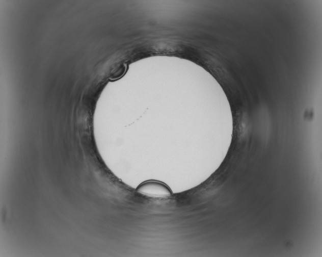 X0000111150619200907211204