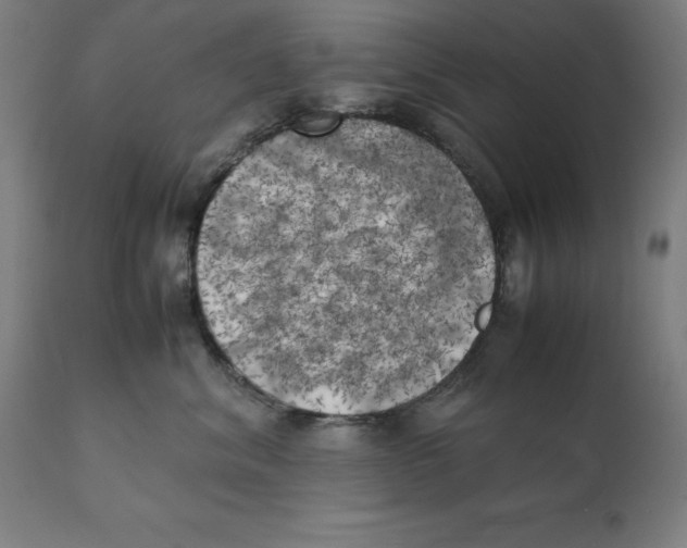 X0000111150620200907211204