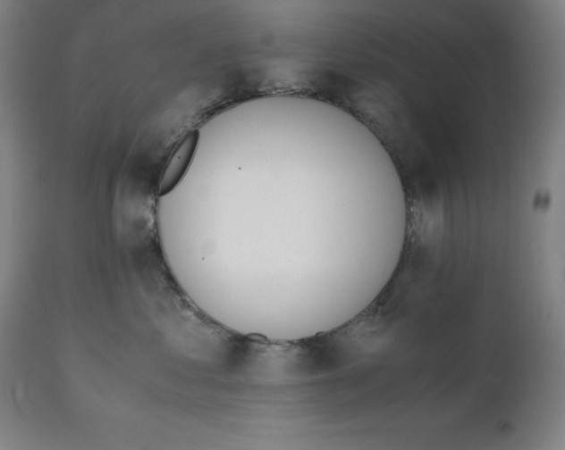 X0000111150621200907211204