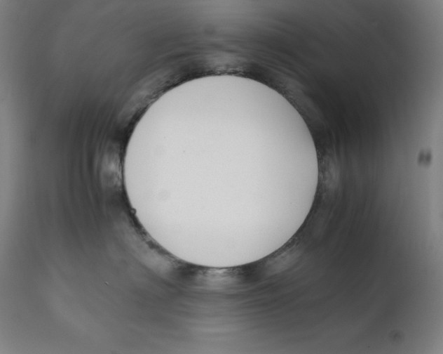 X0000111150622200907211204