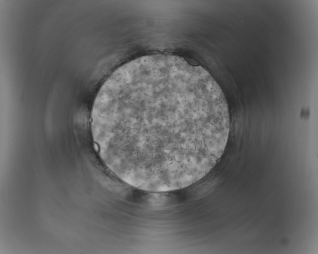 X0000111150623200907211204