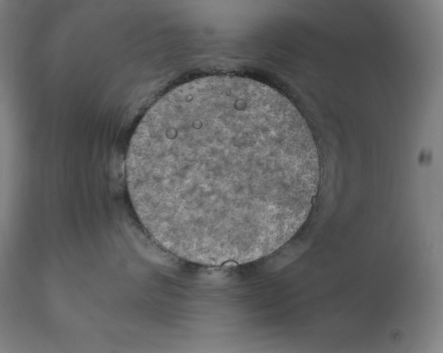 X0000111150624200907211204