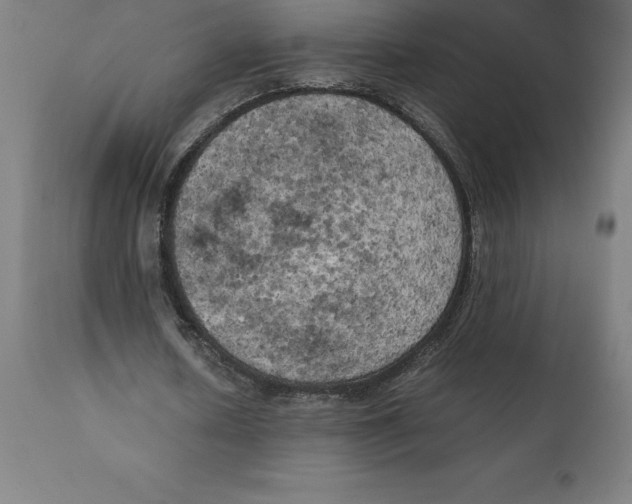 X0000111150626200907211204