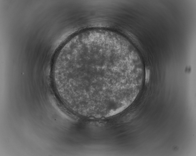 X0000111150627200907211204