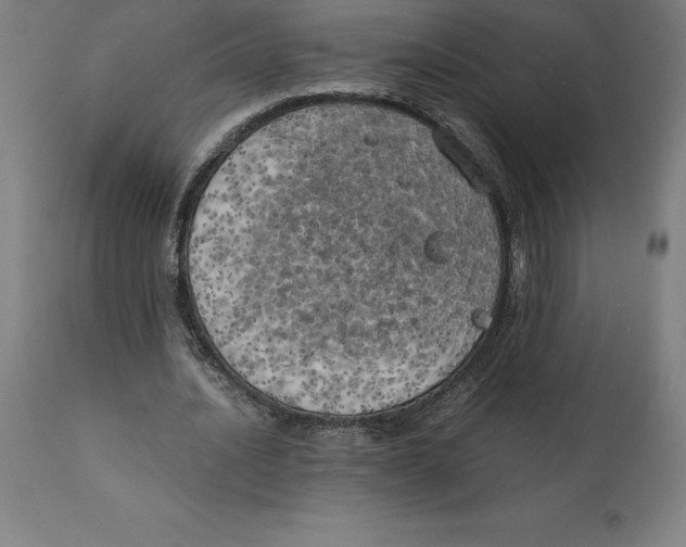 X0000111150628200907211204
