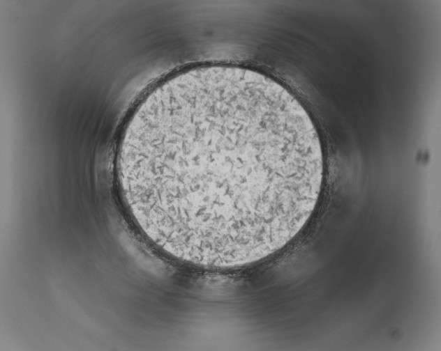 X0000111150632200907211204