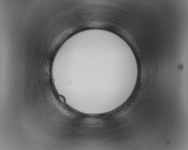 X0000111150633200907211204